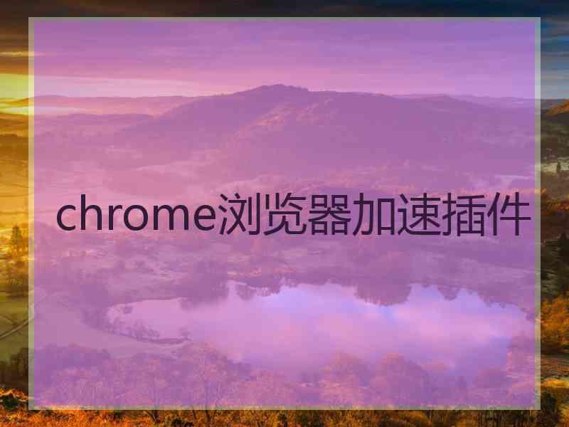 chrome浏览器加速插件