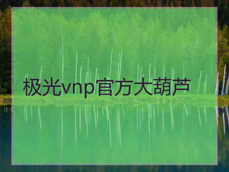 极光vnp官方大葫芦