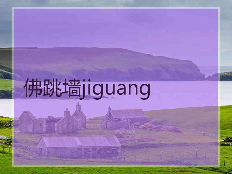 佛跳墙jiguang