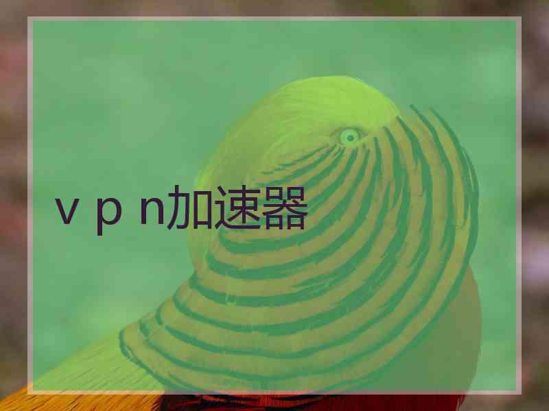 v p n加速器