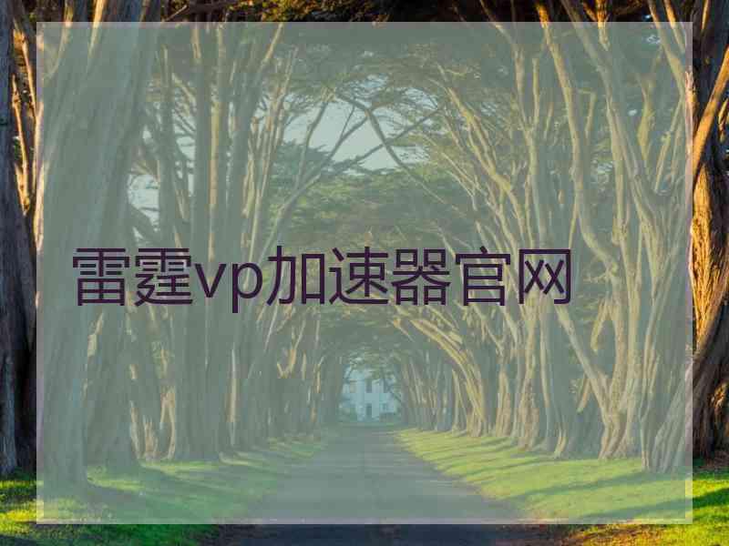 雷霆vp加速器官网