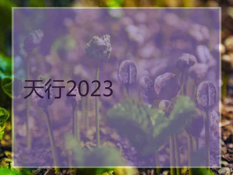 天行2023