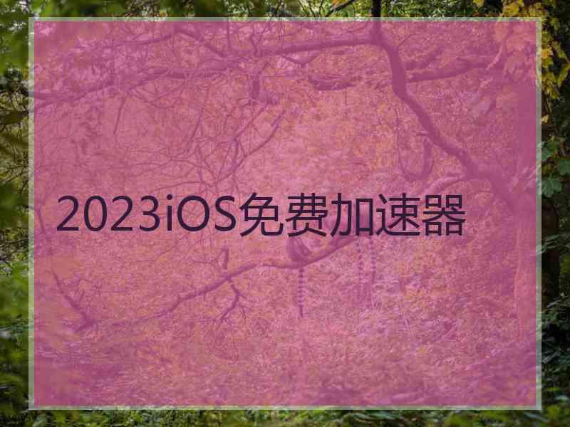 2023iOS免费加速器