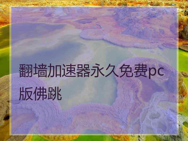 翻墙加速器永久免费pc版佛跳