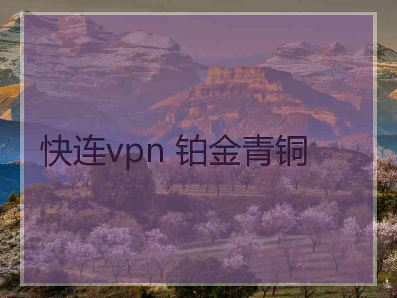 快连vpn 铂金青铜