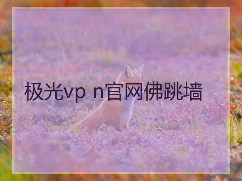 极光vp n官网佛跳墙