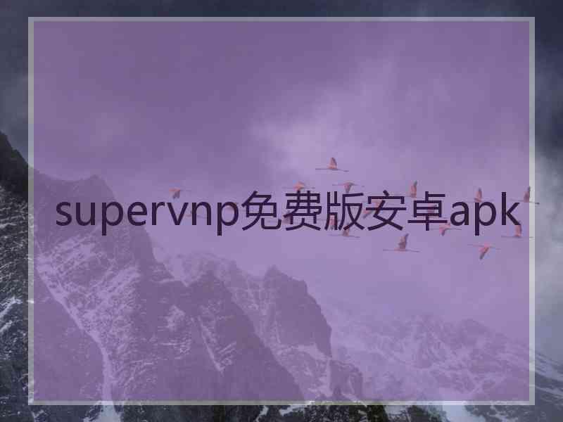 supervnp免费版安卓apk