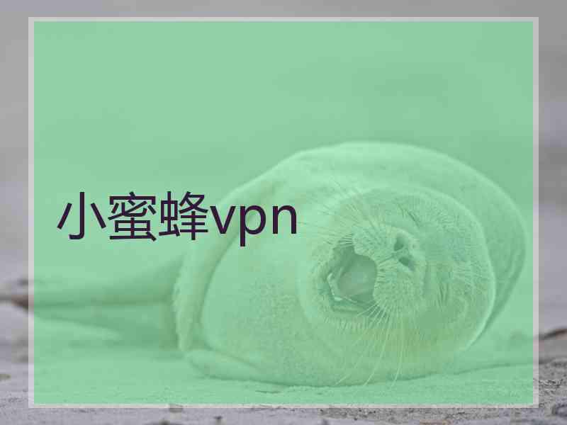 小蜜蜂vpn