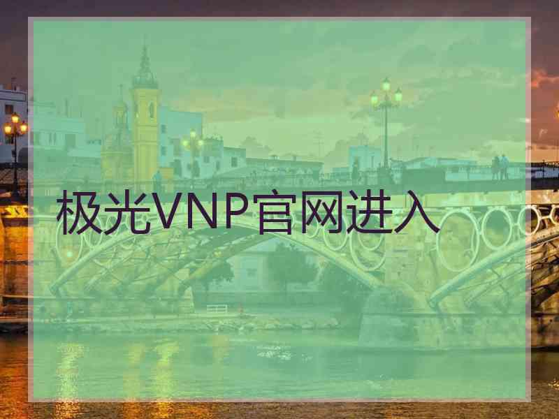 极光VNP官网进入