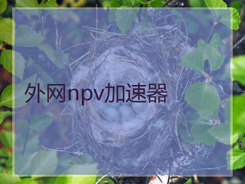 外网npv加速器