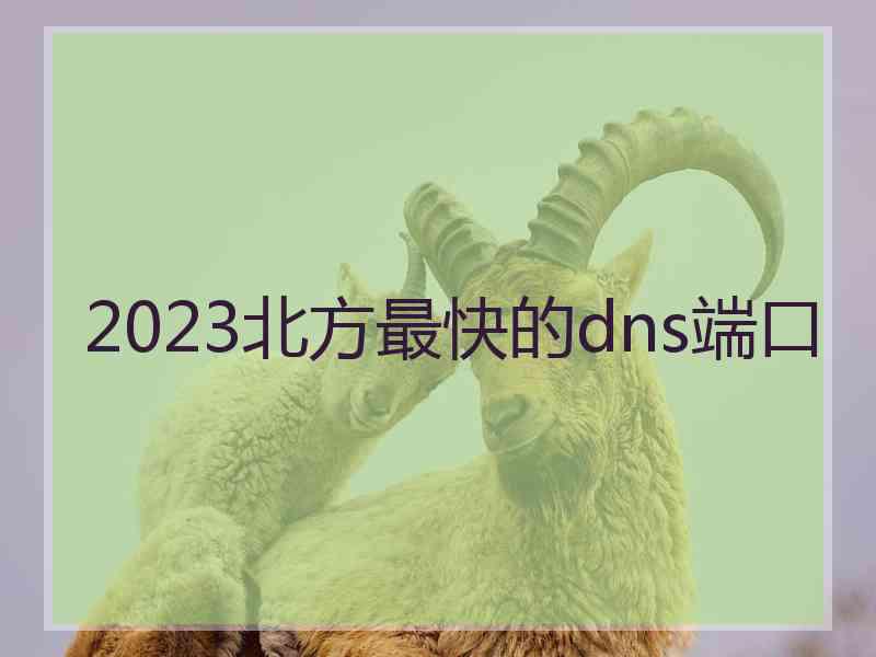 2023北方最快的dns端口