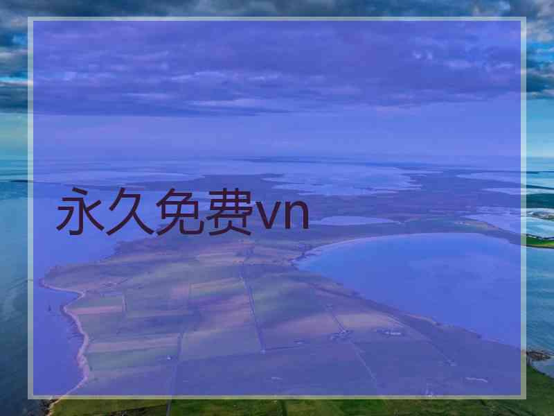 永久免费vn