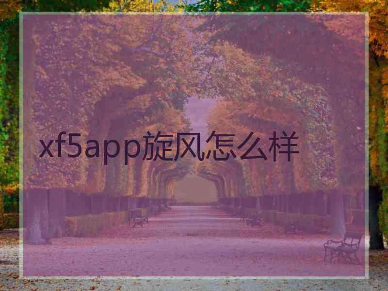 xf5app旋风怎么样