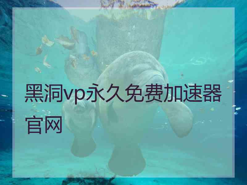 黑洞vp永久免费加速器官网