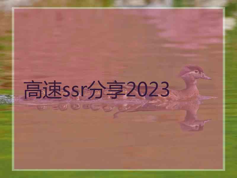 高速ssr分享2023