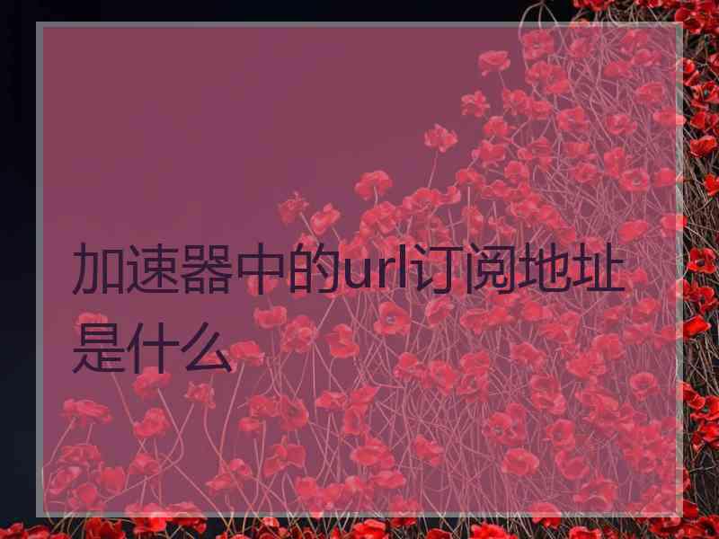 加速器中的url订阅地址是什么