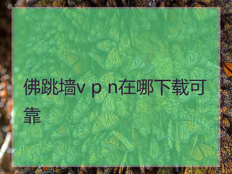 佛跳墙v p n在哪下载可靠