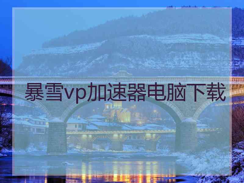 暴雪vp加速器电脑下载