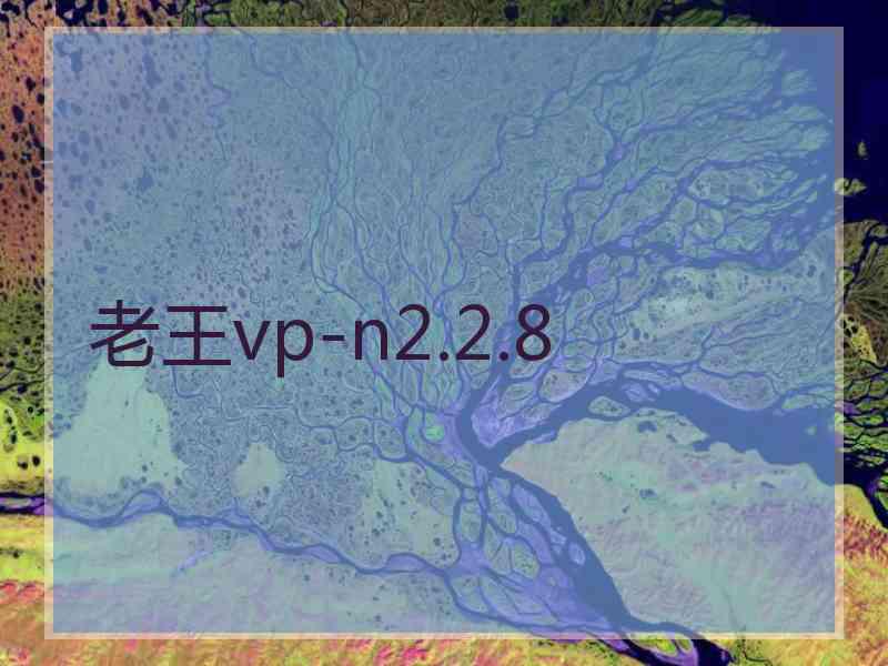 老王vp-n2.2.8