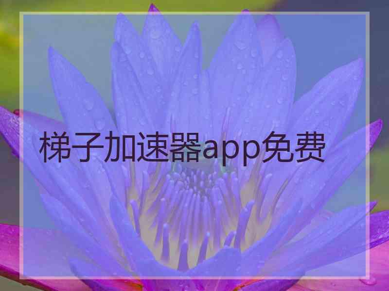 梯子加速器app免费