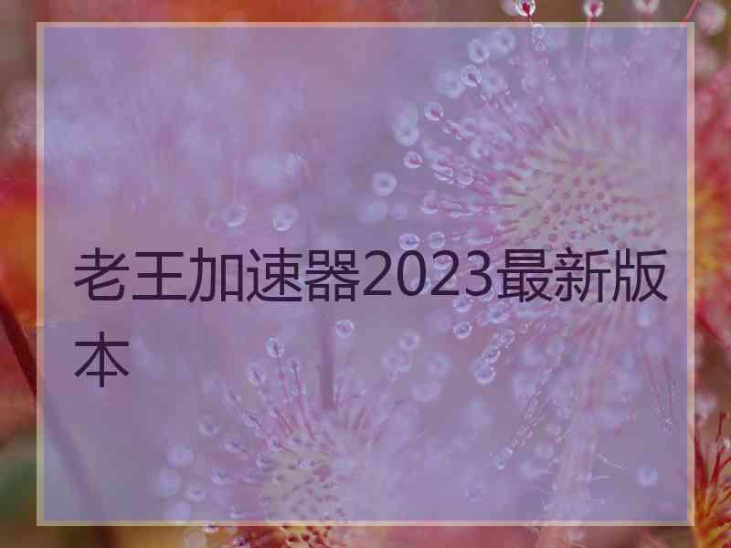 老王加速器2023最新版本