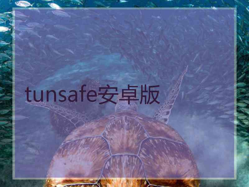 tunsafe安卓版