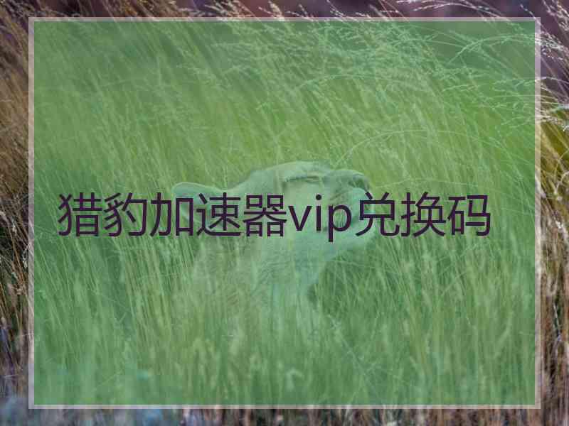 猎豹加速器vip兑换码