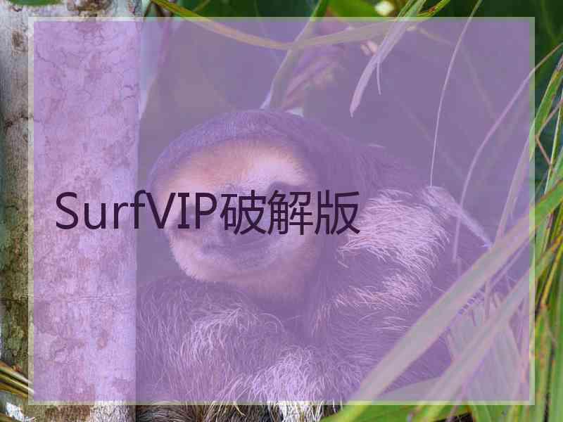 SurfVIP破解版