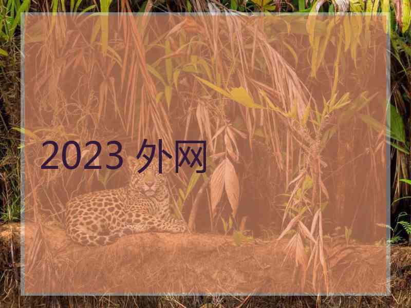 2023 外网