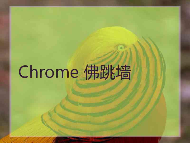 Chrome 佛跳墙