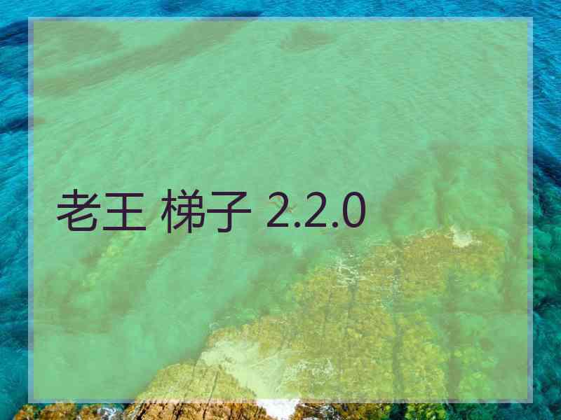 老王 梯子 2.2.0