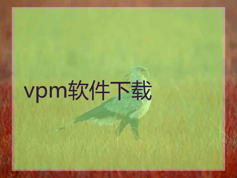 vpm软件下载