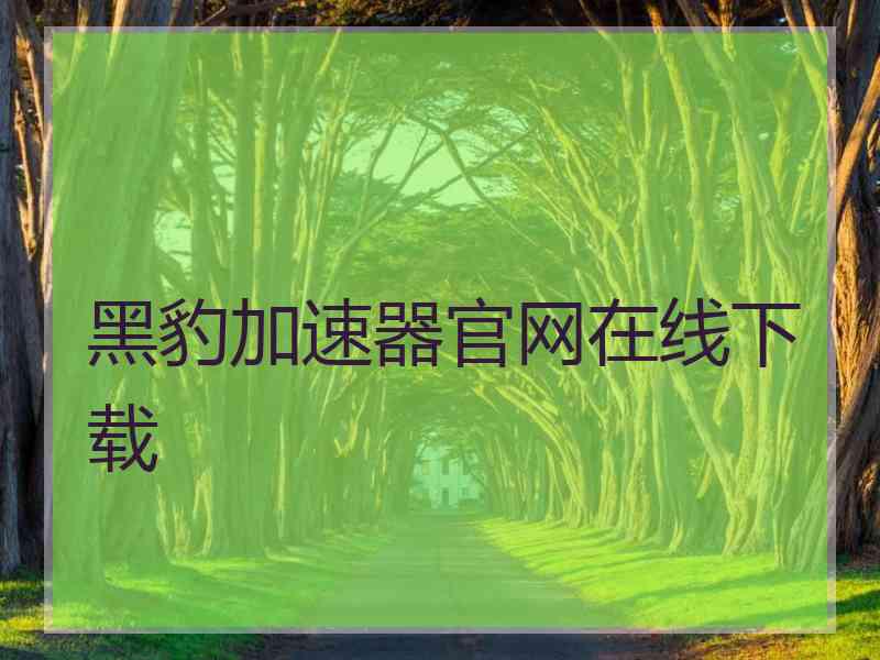 黑豹加速器官网在线下载