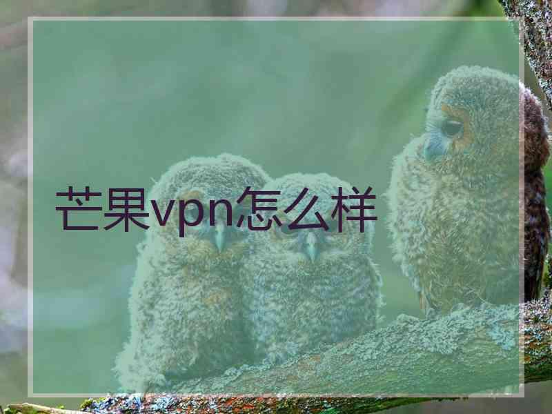 芒果vpn怎么样