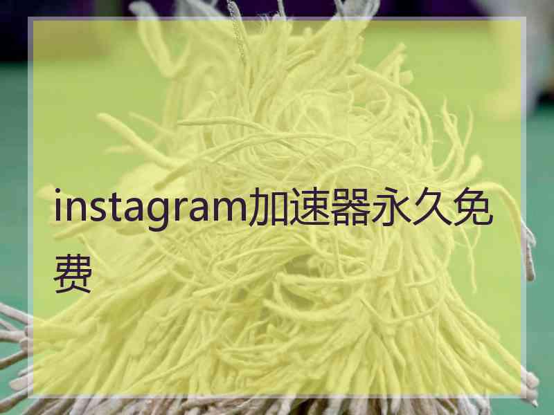 instagram加速器永久免费