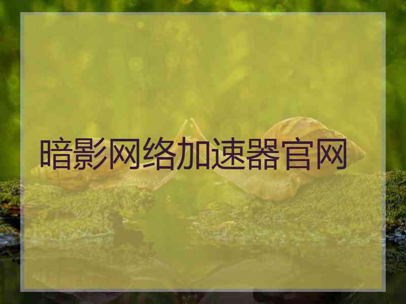 暗影网络加速器官网