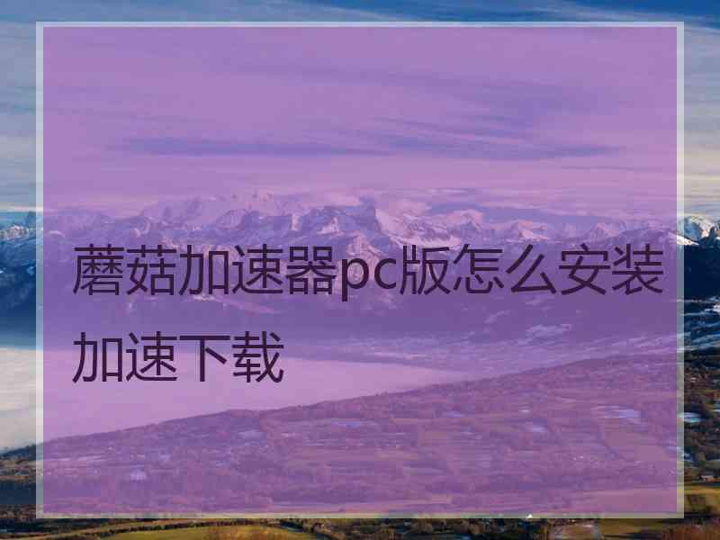 蘑菇加速器pc版怎么安装加速下载