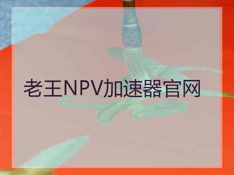 老王NPV加速器官网