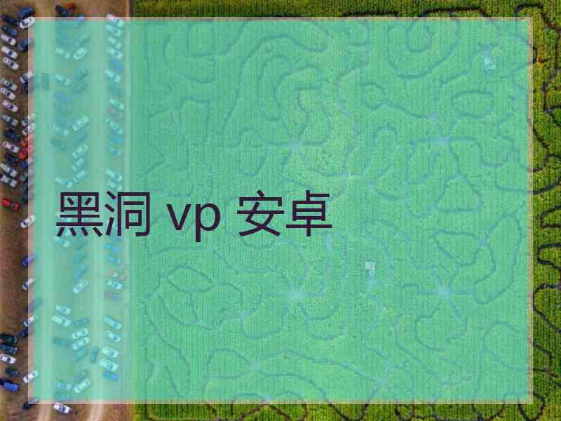 黑洞 vp 安卓