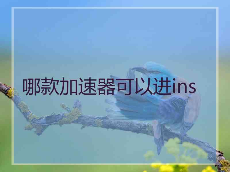 哪款加速器可以进ins