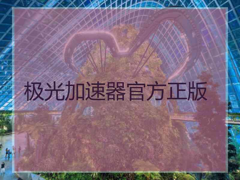 极光加速器官方正版