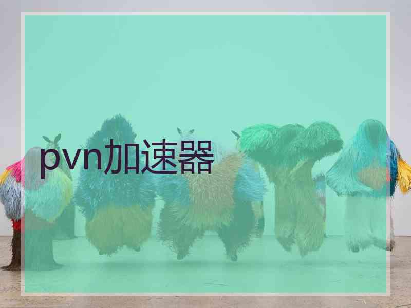 pvn加速器