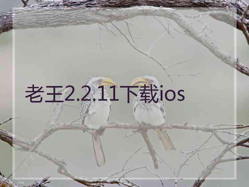 老王2.2.11下载ios