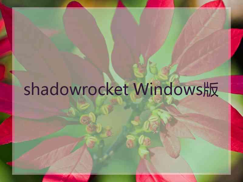 shadowrocket Windows版