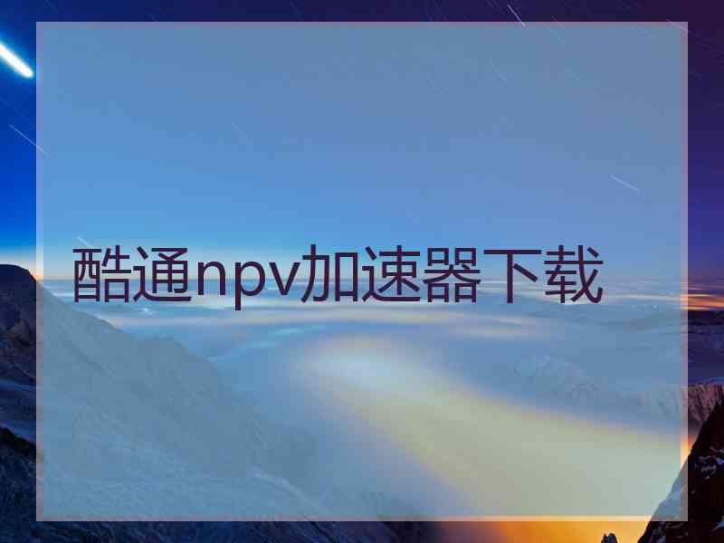 酷通npv加速器下载