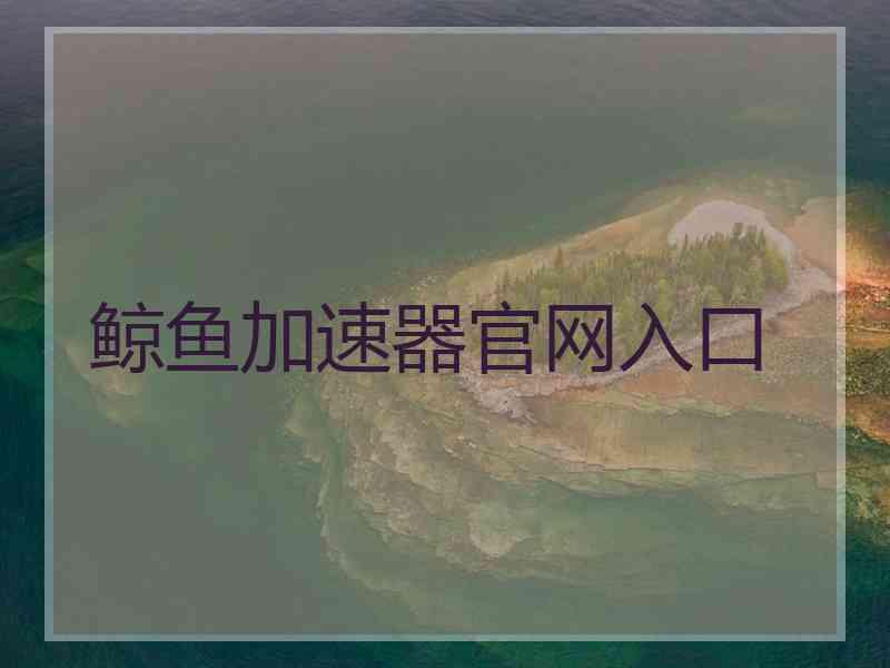 鲸鱼加速器官网入口