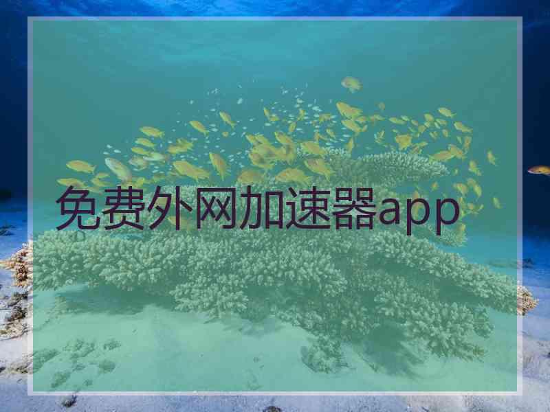 免费外网加速器app