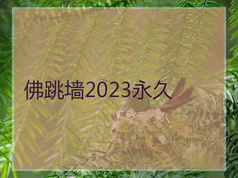 佛跳墙2023永久