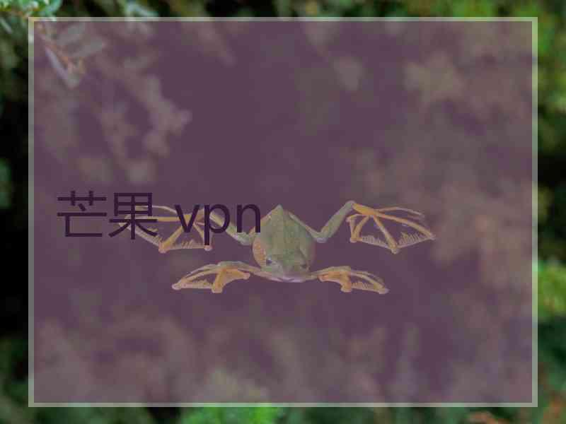 芒果 vpn