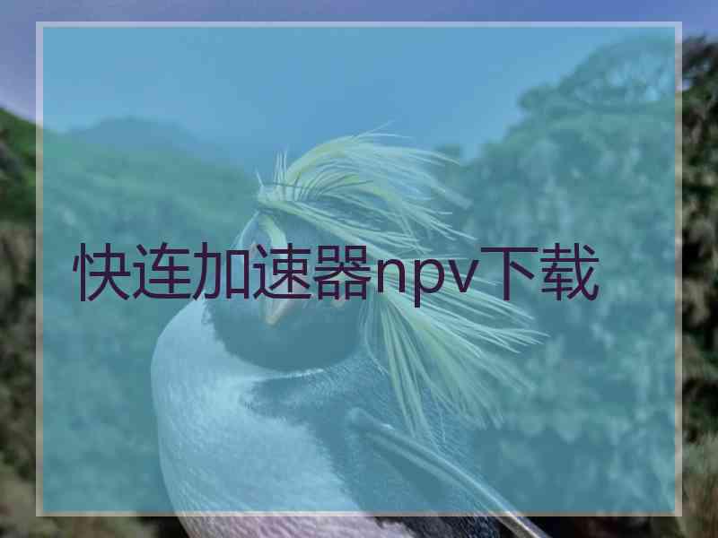 快连加速器npv下载